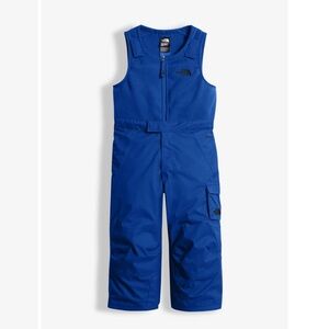 Northface insulated kids bib snowpant